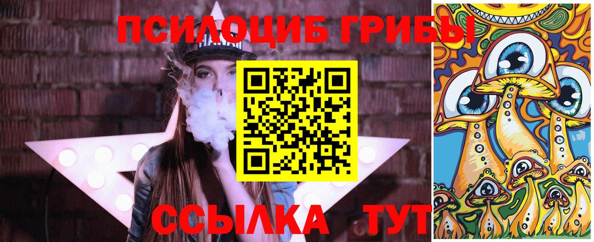 Галлюциногенные грибы MAGIC MUSHROOMS Черкесск