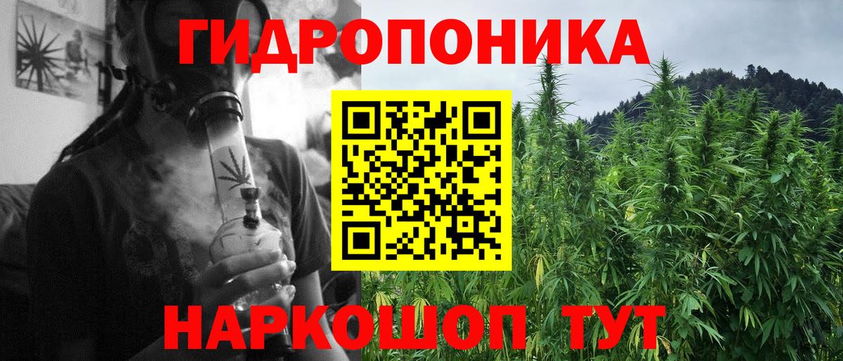 Бошки Шишки OG Kush Черкесск